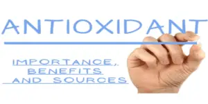 Importance of Antioxidants in Foods