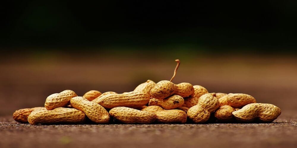 Health Benefits of Peanuts its Uses and Risks