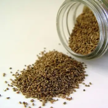 Ajwain - 10 Home Remedies for Cold and Cough
