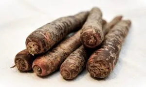 7 Incredible Health Benefits of Black Carrots (Kali Gajar)
