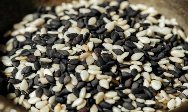 10 Health Benefits of Sesame Seeds (Til) for Male & Female