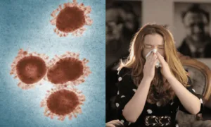 10 Winter Superfoods to Boost Immunity Against HMPV Virus